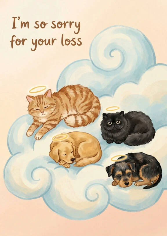 Pet sympathy